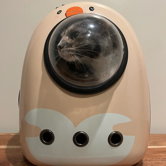 Travel Cat Backpack! - Picture 1 of 10